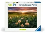 Ravensburger 12000592 - Pusteblumen im Sonnenuntergang