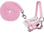 Halfter undrick -Hobby Horsing- rosa