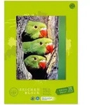 Zeichenblock Green A3 100 g/qm 18 Blatt