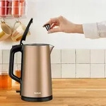 Tefal KI583C Kupfer-Wasserkocher (KI583C10)