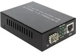 Delock 86220 1 GBit/s