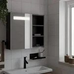 vidaXL Spiegelschrank mit LED-Beleuchtung Schwarz 60x13x52 cm