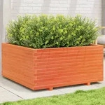 vidaXL Pflanzk&uuml;bel Wachsbraun 100x100x49,5 cm Massivholz Kiefer
