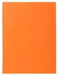 Exacompta 5x 100er Aktendeckel SUPER 160 24x32cm - Orange - 340007E