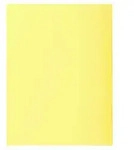 Exacompta 5x 100er Aktendeckel SUPER 160 24x32cm - Kanariengelb - 340005E