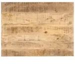 vidaXL Tischplatte Massivholz Mango 25-27 mm 90x60 cm