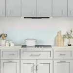 vidaXL K&uuml;chenr&uuml;ckw&auml;nde 2 Stk. Wei&szlig; 80x60 cm Hartglas