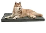 lionto Hundematratze orthop&auml;disch mit Memory-Schaumstoff, 118x80 cm, grau