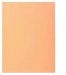 Exacompta 5x 100er Aktendeckel SUPER 160 24x32cm - Sand - 340002E