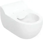 Geberit Bambini WWC-T, H35 Rimfree, 1 Stk.