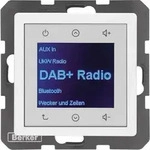 Berker Radio DAB+, Bt., Q.x pw. 30846089