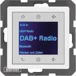 Berker Radio DAB+, Q.x pw 29846089