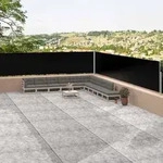 vidaXL Seitenmarkise Ausziehbar Schwarz 117x1200 cm