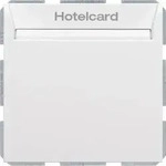 Berker Relais-Schalter Hotelcard 16409909