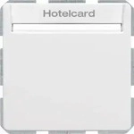 Berker Relais-Schalter Hotelcard 16406099