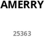 Amewi DRE Drohne anthrazit