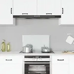 vidaXL K&uuml;chenr&uuml;ckwand Transparent 70&times;40 cm Hartglas