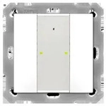 MDT technologies Taster Plus 55 BE-TA55P2.G2