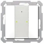 MDT technologies Taster Plus TS 55 2-fach BE-TA55T2.G2