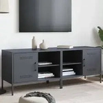 vidaXL TV-Schr&auml;nke 2 Stk. Anthrazit 68x39x50,5 cm Stahl