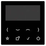 Jung Display f&uuml;r Smart Radio DAB A-DISP SW