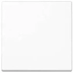 Jung Steuertaste Standard A 1700 BF WW