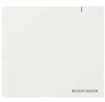 Busch-Jaeger System Access Point SAP.13