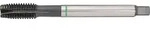 Maschinengewindebohrer DIN 374B Univ.MF10x1mm HSS-Co vap.6H TECWERK