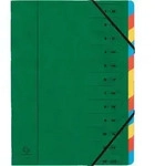 Exacompta 8x Ordnungsmappe Karton 355g/m2 + Gummizug 12 F&auml;cher A4 Gr&uuml;n 54123E