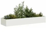 vidaXL Pflanzgef&auml;&szlig; Wei&szlig; 280x80x40 cm Stahl