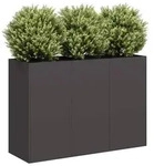 vidaXL Pflanzk&uuml;bel Schwarz 120x40x80 cm Kaltgewalzter Stahl