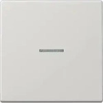 10 Stk. Jung eNet Funk-Steuertaste FM LS 1700 LG