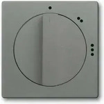Busch-Jaeger Zentralscheibe gr/metal 2542 DR/02-803