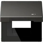 Jung Klappdeckel AL 2990 KL USB AN