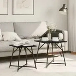 vidaXL Beistelltische 2 Stk. Schwarz Eiche Holzwerkstoff und Metall
