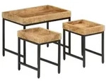 vidaXL Satztische 3 Stk. Raues Massivholz Mango und Eisen