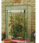 Tomaten Gew&auml;chshaus