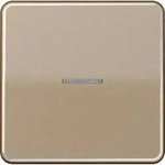 Jung KNX RF Taster 1fach CD 10911 ST RF GB