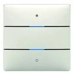 Theben Tastsensor iON 102 KNX