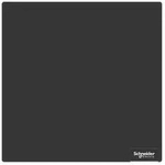 Schneider Electric ZBYLEG303000 Einlegeschild 1St.