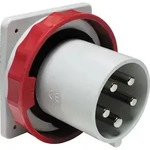 Schneider Electric 81883 81883 CEE Stecker 63A 415V 1St.