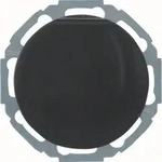 Hager Steckdose WLS1211BG