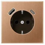 Jung Steckdose BRG 1520-15 CA