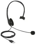 Delock - Headset - On-Ear - kabelgebunden - USB-A