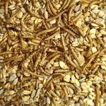 20 kg Deluxe Vogelfutter mit Mehlw&uuml;rmern schalenlos f&uuml;r Wildv&ouml;gel