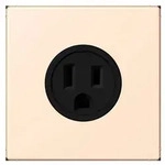 Jung Steckd NEMA15 LC 521-15 238