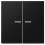 Jung KNX RF Taster 2fach A 10921 ST RF BF SWM