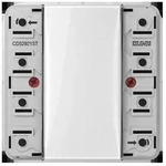 Jung KNX Tastsensor-Modul 2f CD 52921 ST