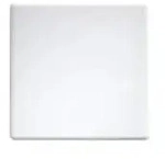 Eltako Wippe W-F2T55E/10-pm