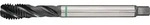 Maschinengewindebohrer DIN 5156C Univ.G 3/8 Zollx19 HSS-Co vap.ISO 228 TECWERK